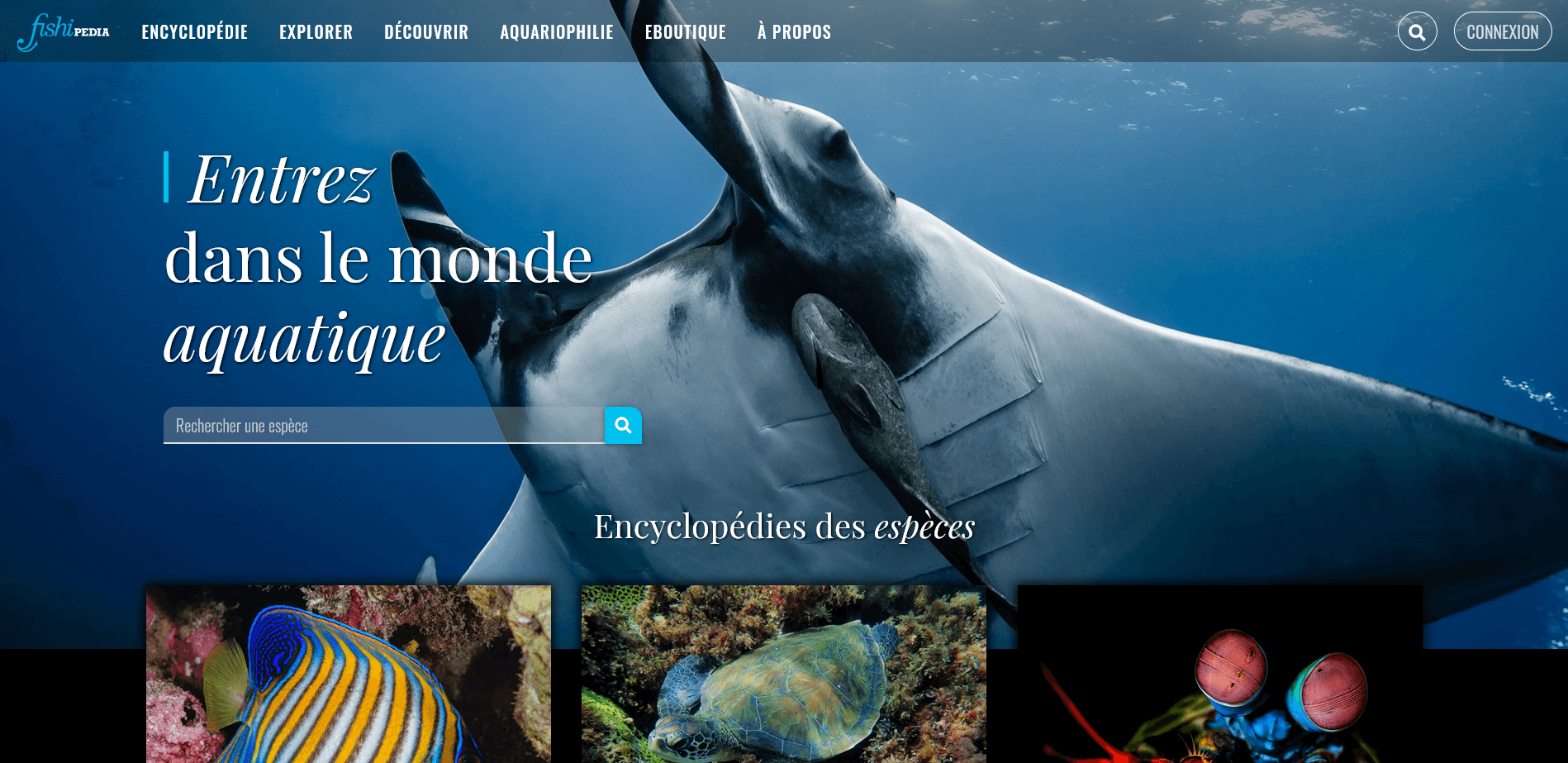 fishipedia website screenshot